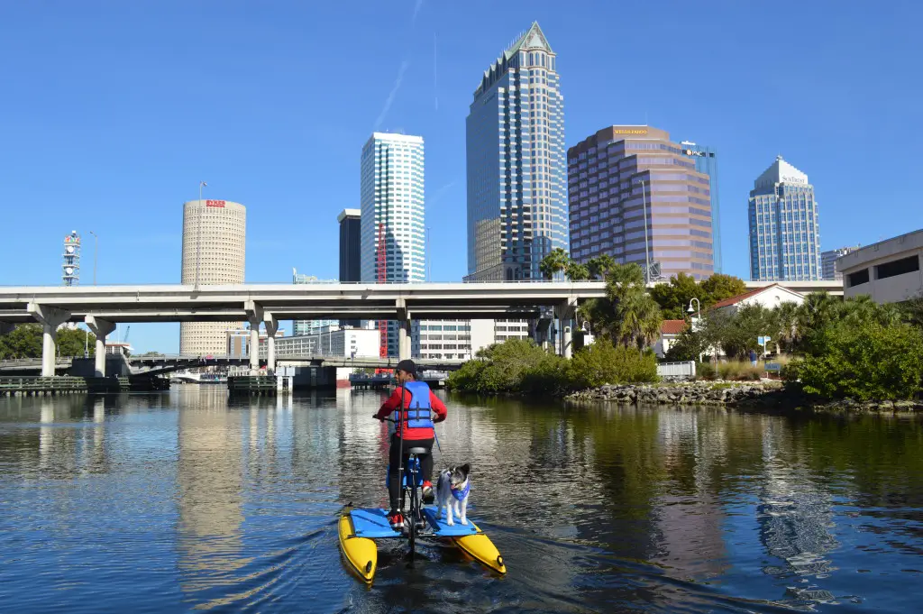 20 Adventurous Things To Do In Tampa Bay