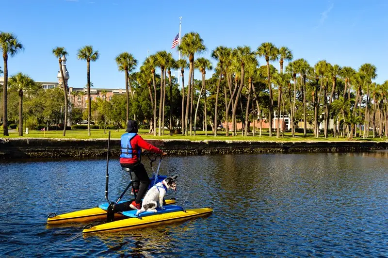 Top 10 Favorite Things To Do On Tampa Riverwalk - Misadventures Of An ...